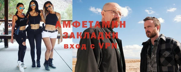 индика Арсеньев