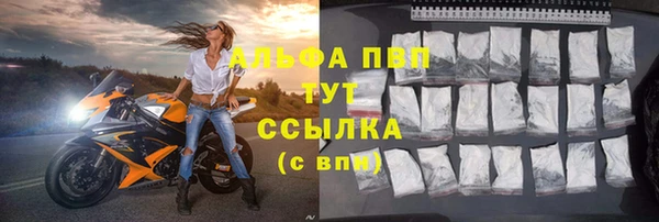 индика Арсеньев