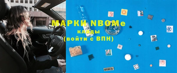 индика Арсеньев