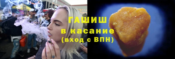 индика Арсеньев