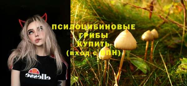 индика Арсеньев