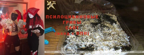 гидропоника Аркадак