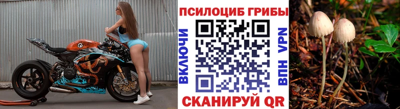 где купить наркоту  Уржум  Галлюциногенные грибы мицелий 